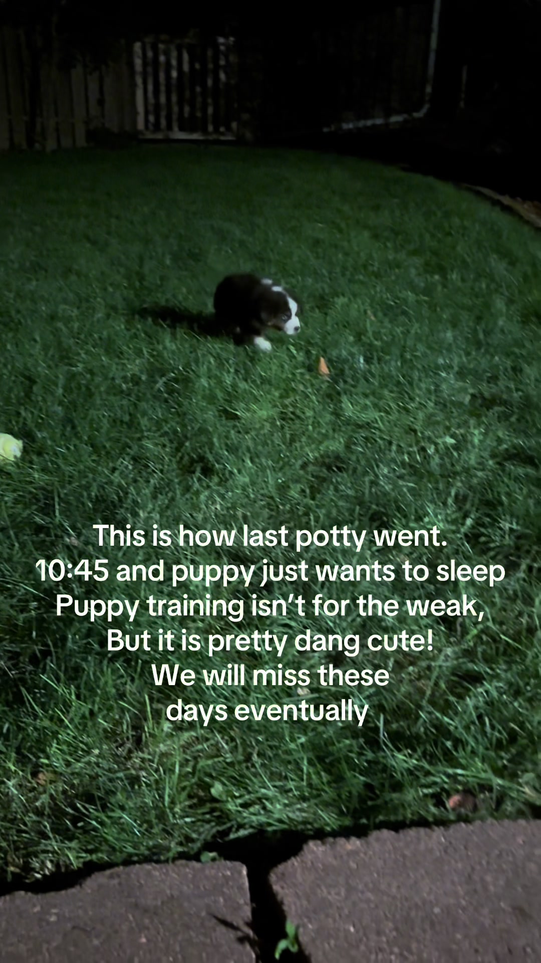 @Dale & Co.🥉