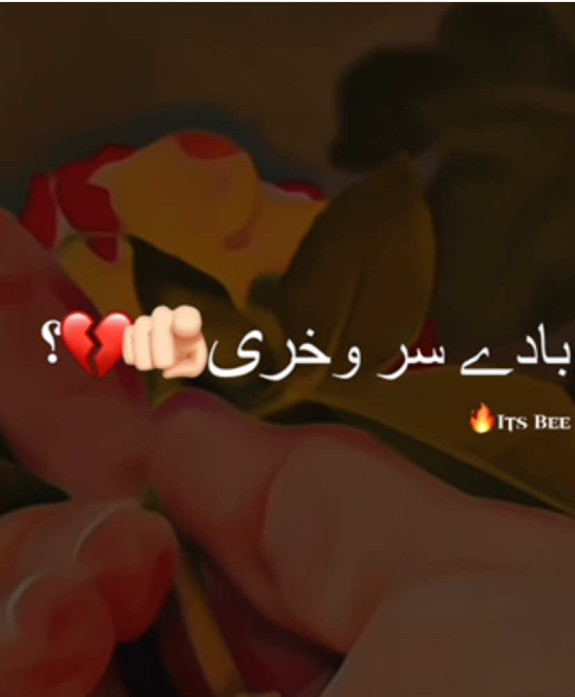 @𝐢𝐓'𝐬 𝐁𝐞𝐞 ~ヅ