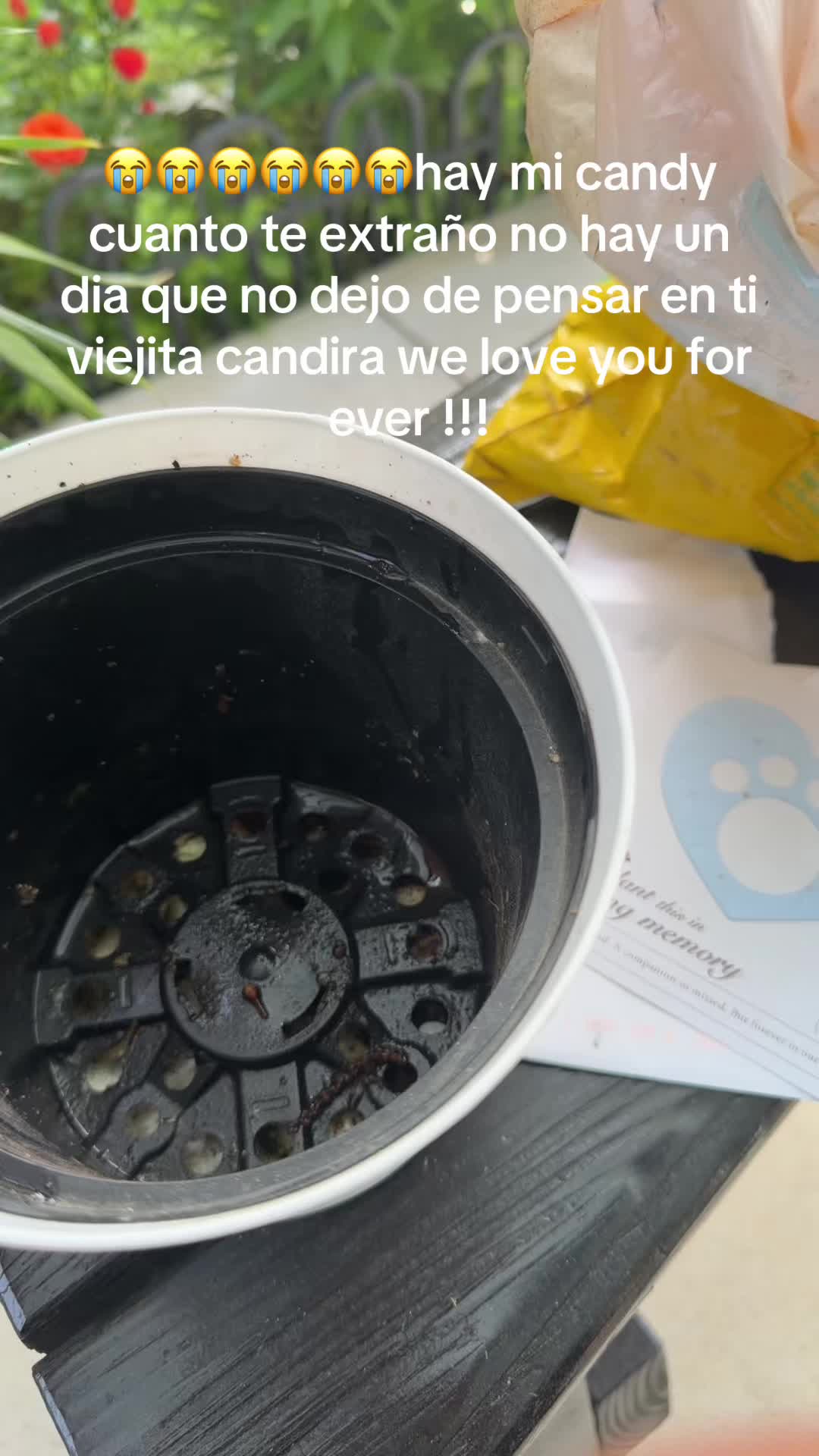 @Margarita Valdez