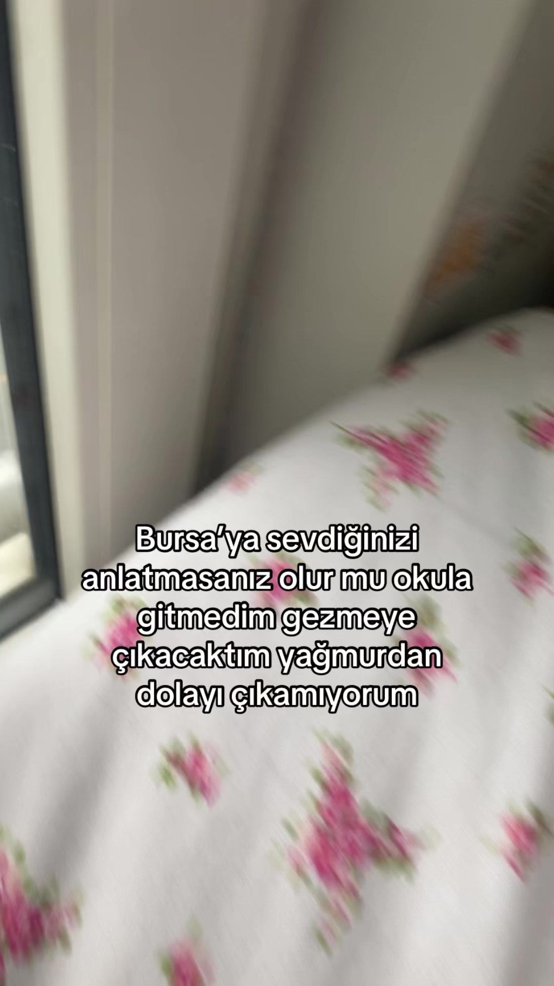 @fokbaliği🦭🎀