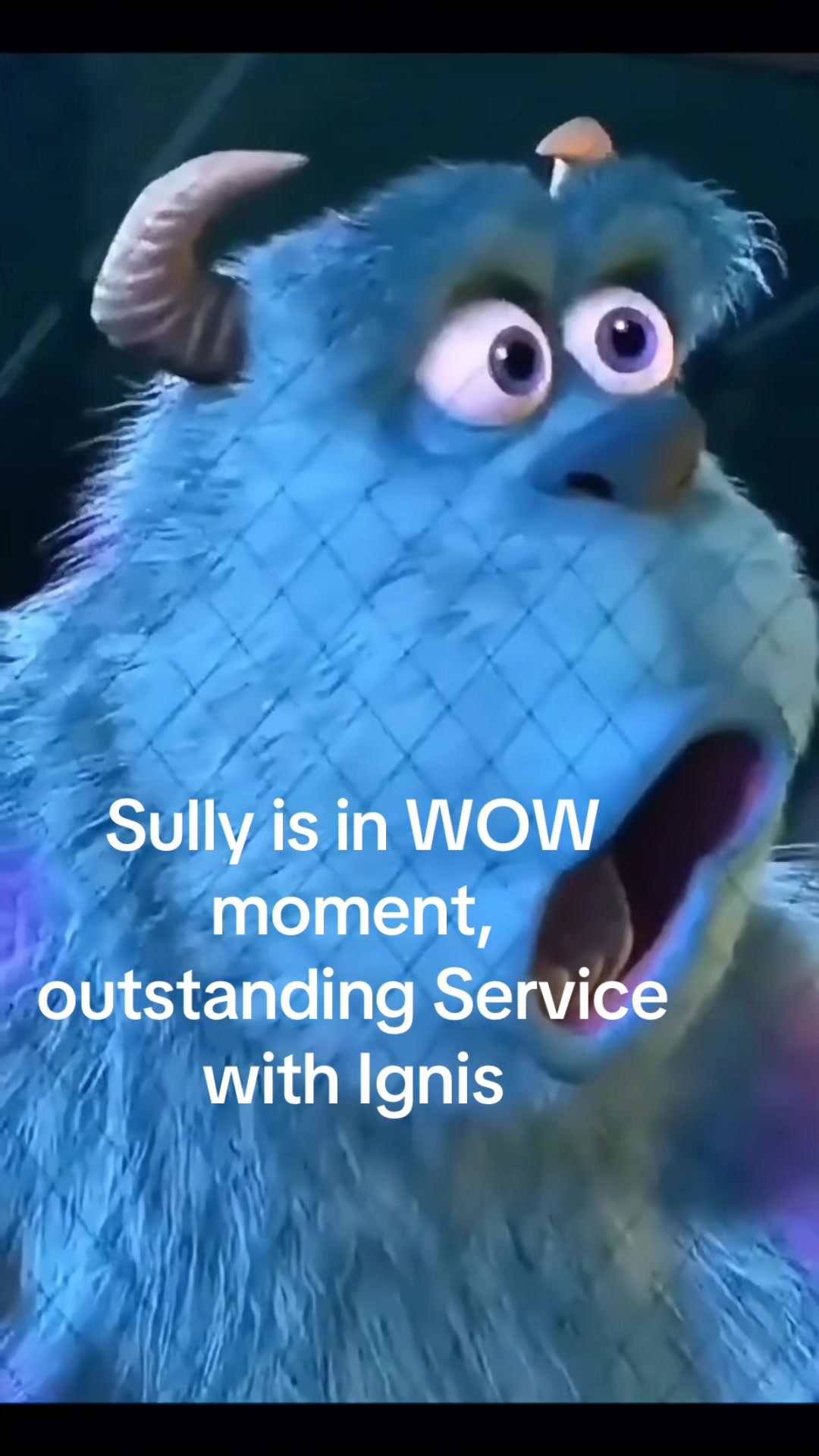 @ignis4156