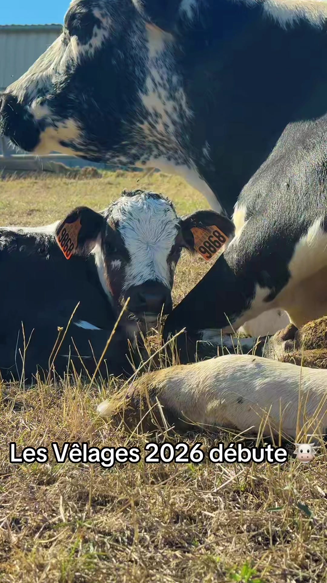 @R&eacute;mi Mayaux