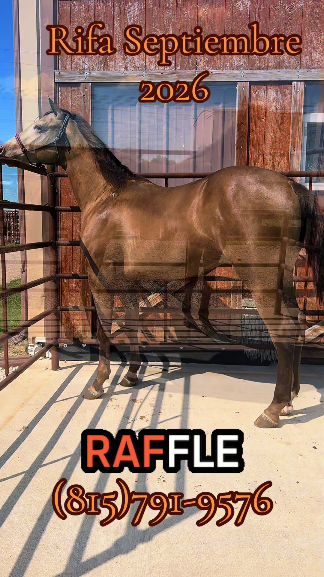 @R.L.P Quarter Horses