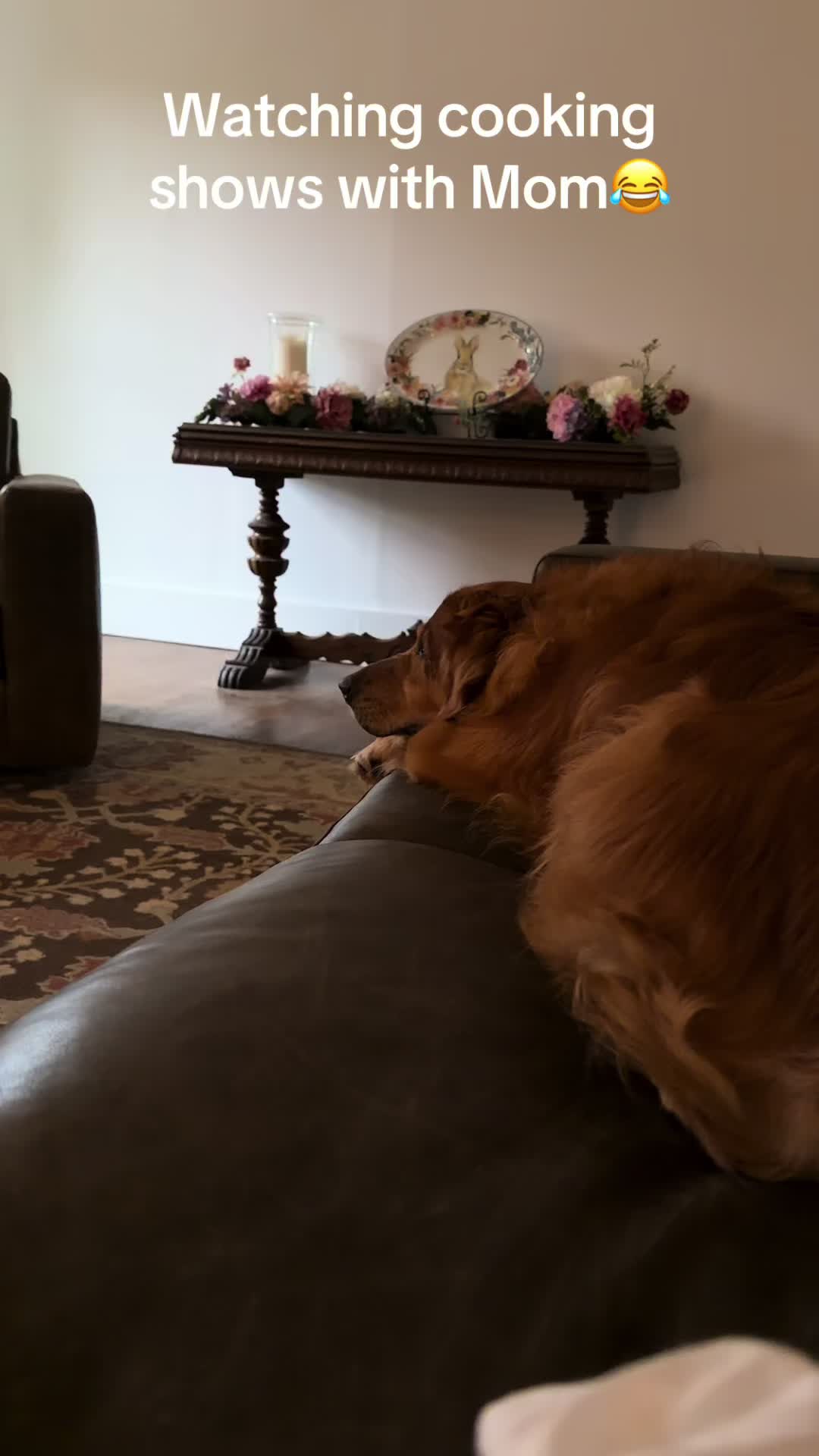 @DogMomisms