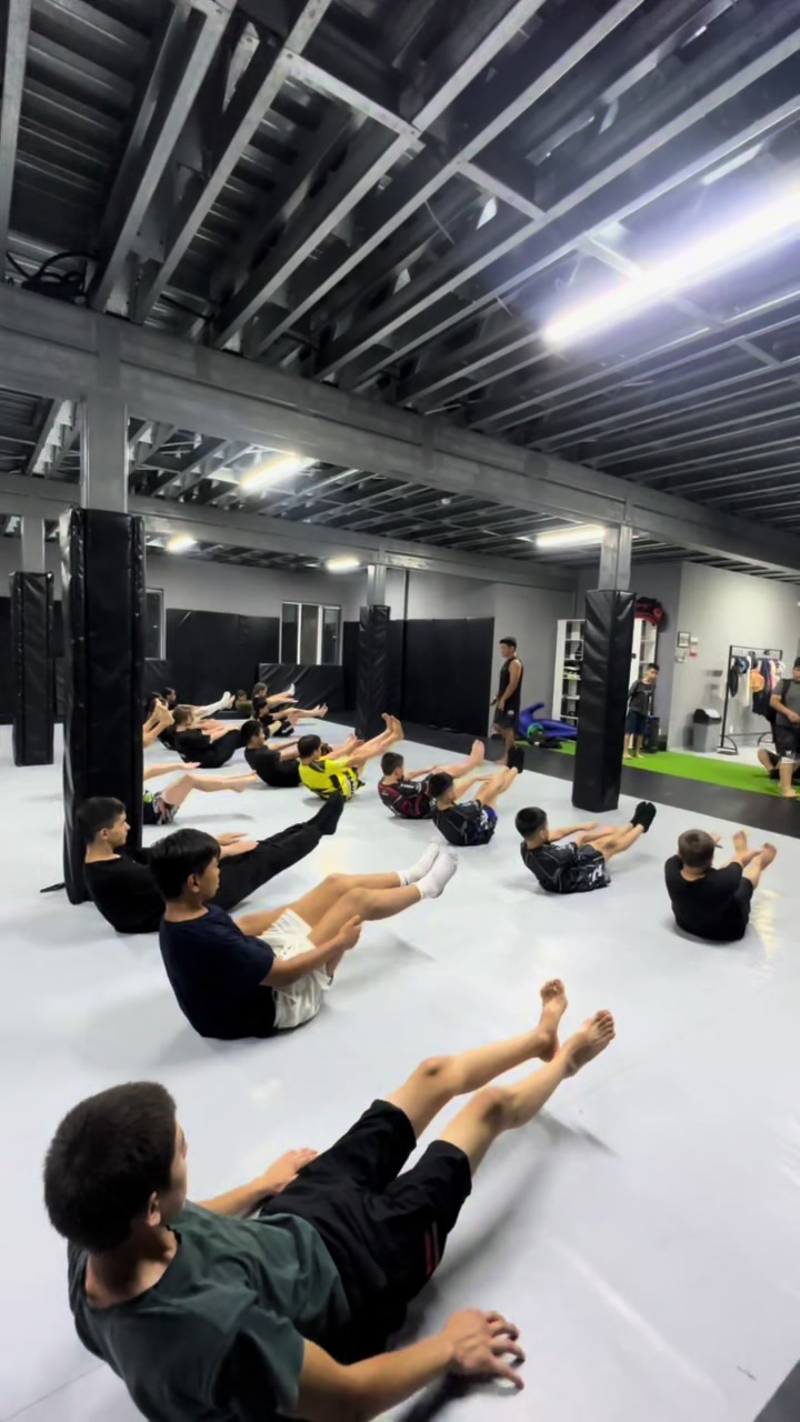 @alash.fighters.kz