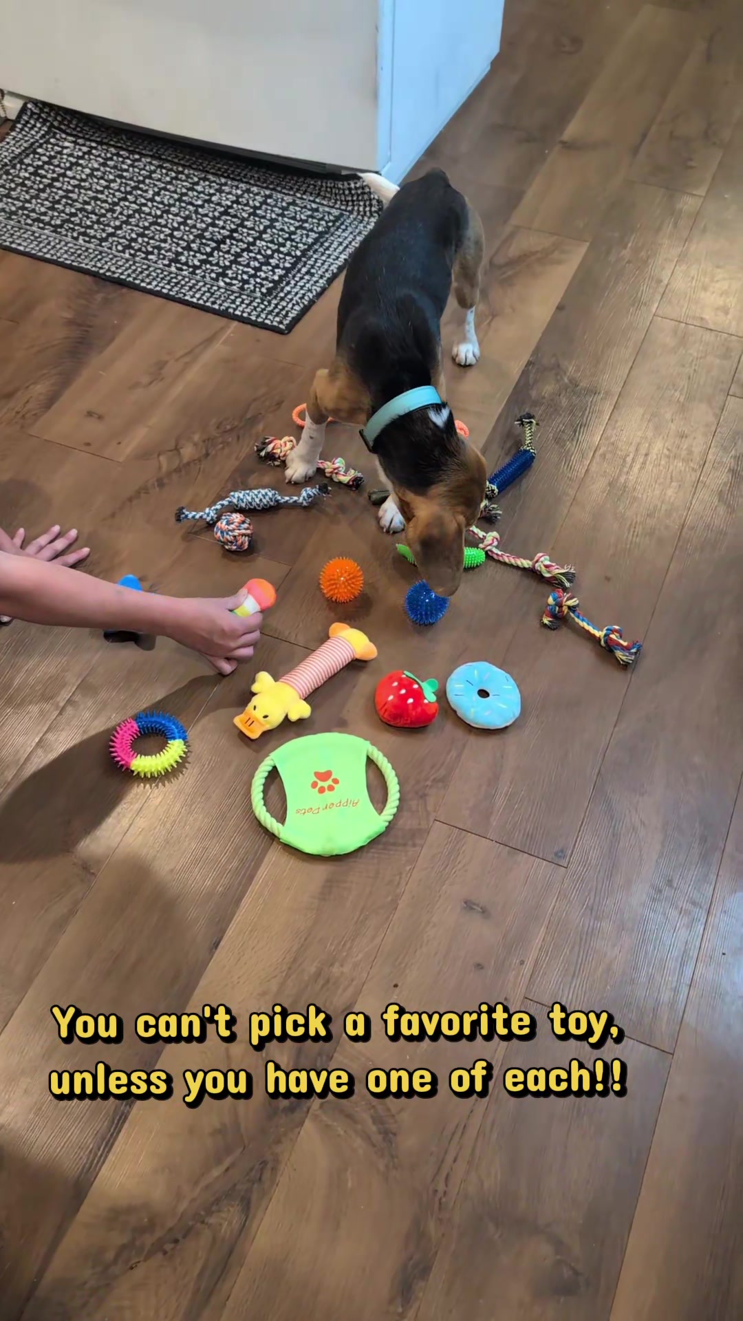 @Alex B