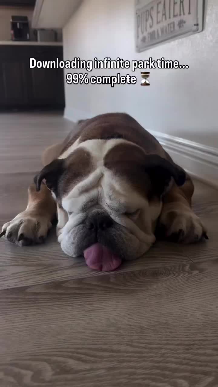 @Taco 🐶🧿
