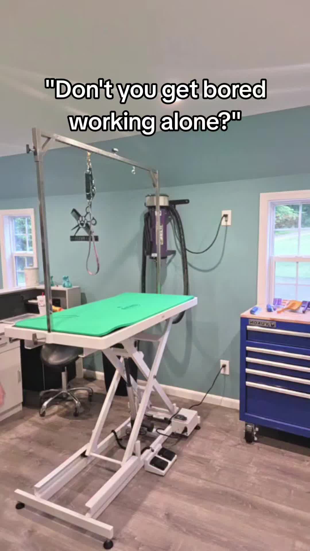 @ShookyDogGroomer-Rachel Shook