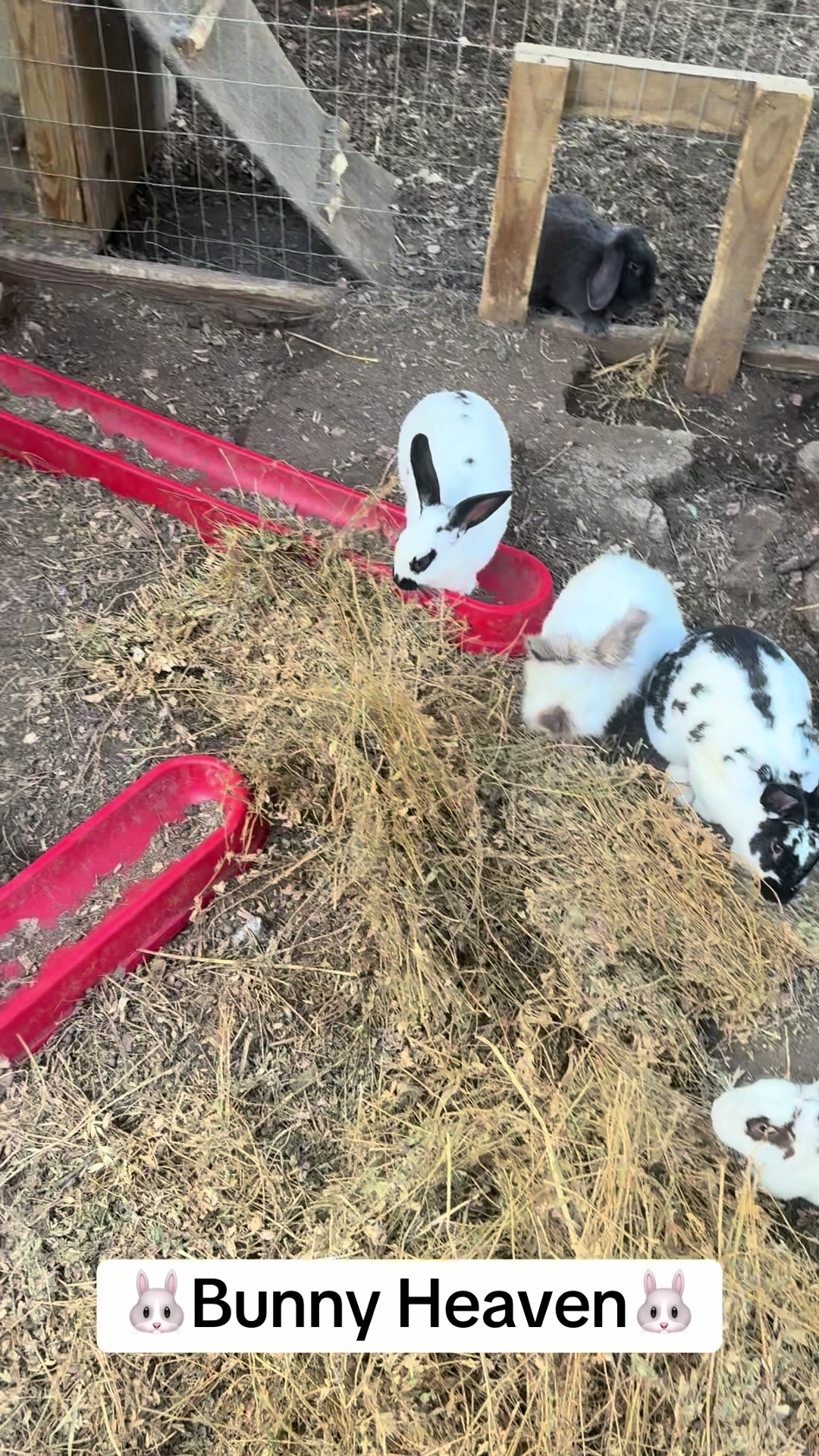 @merrickfarmstead