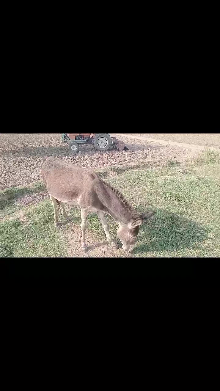 @salmanbrand33