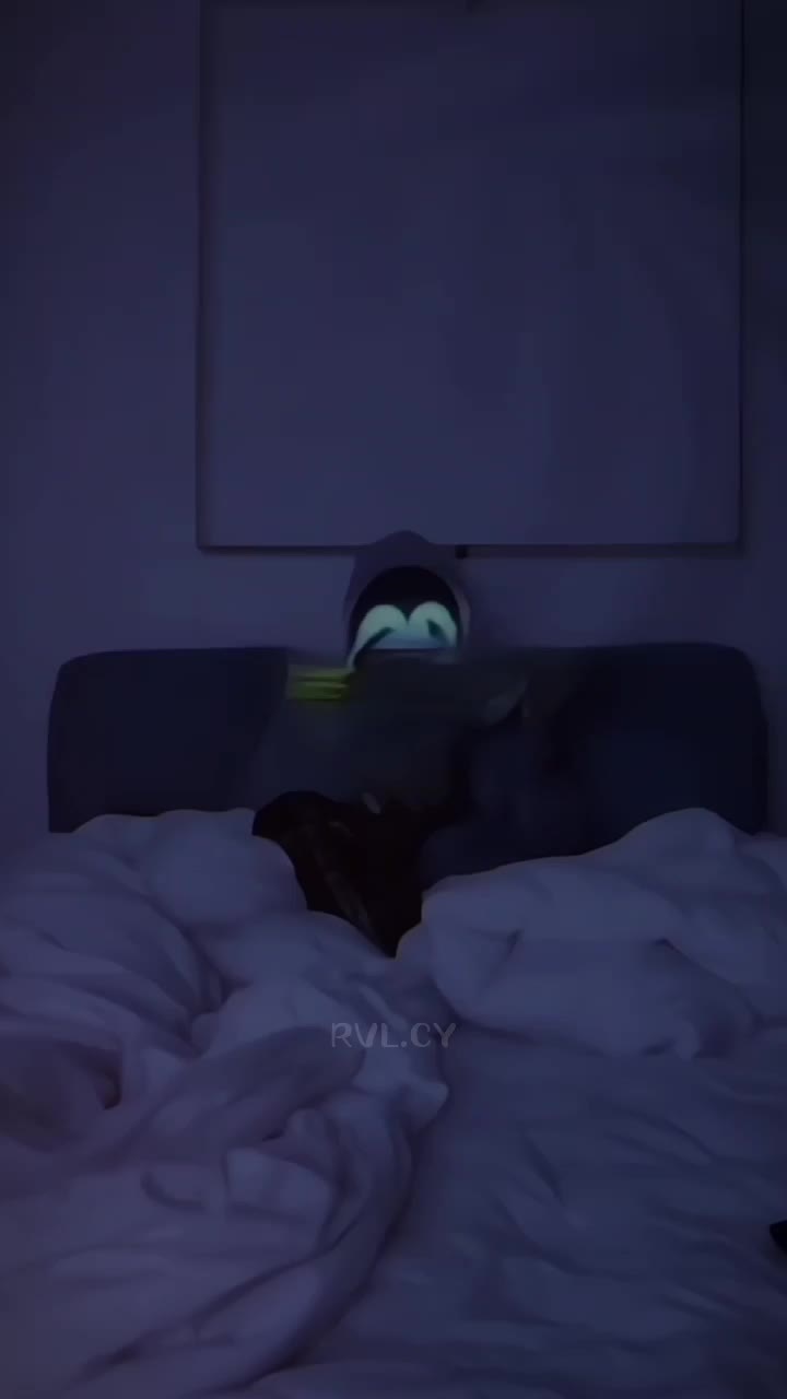 @Rvl