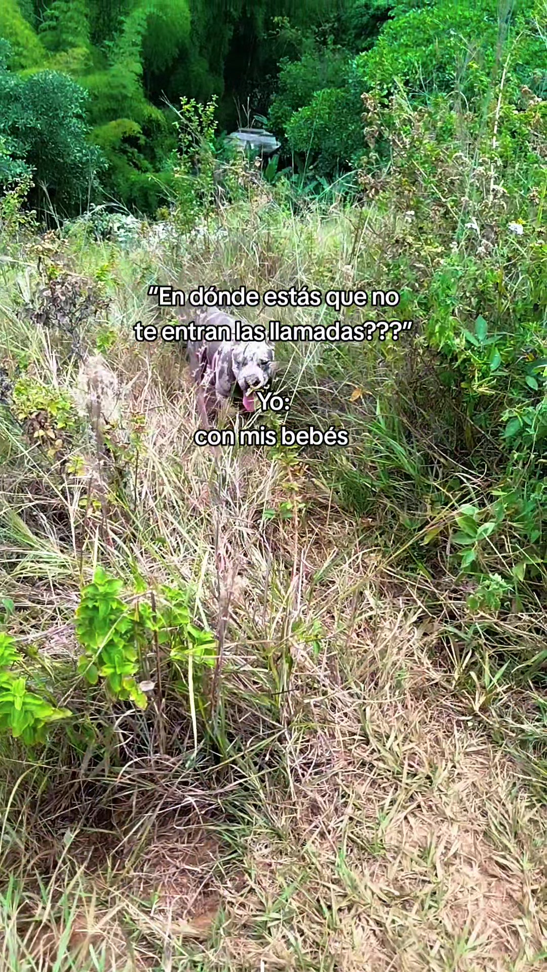 @Angiie Mar&iacute;n🍃❤️