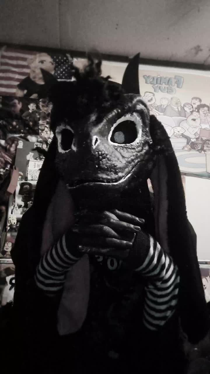 @sirmeowsalot HAVER 🐈⬛👔