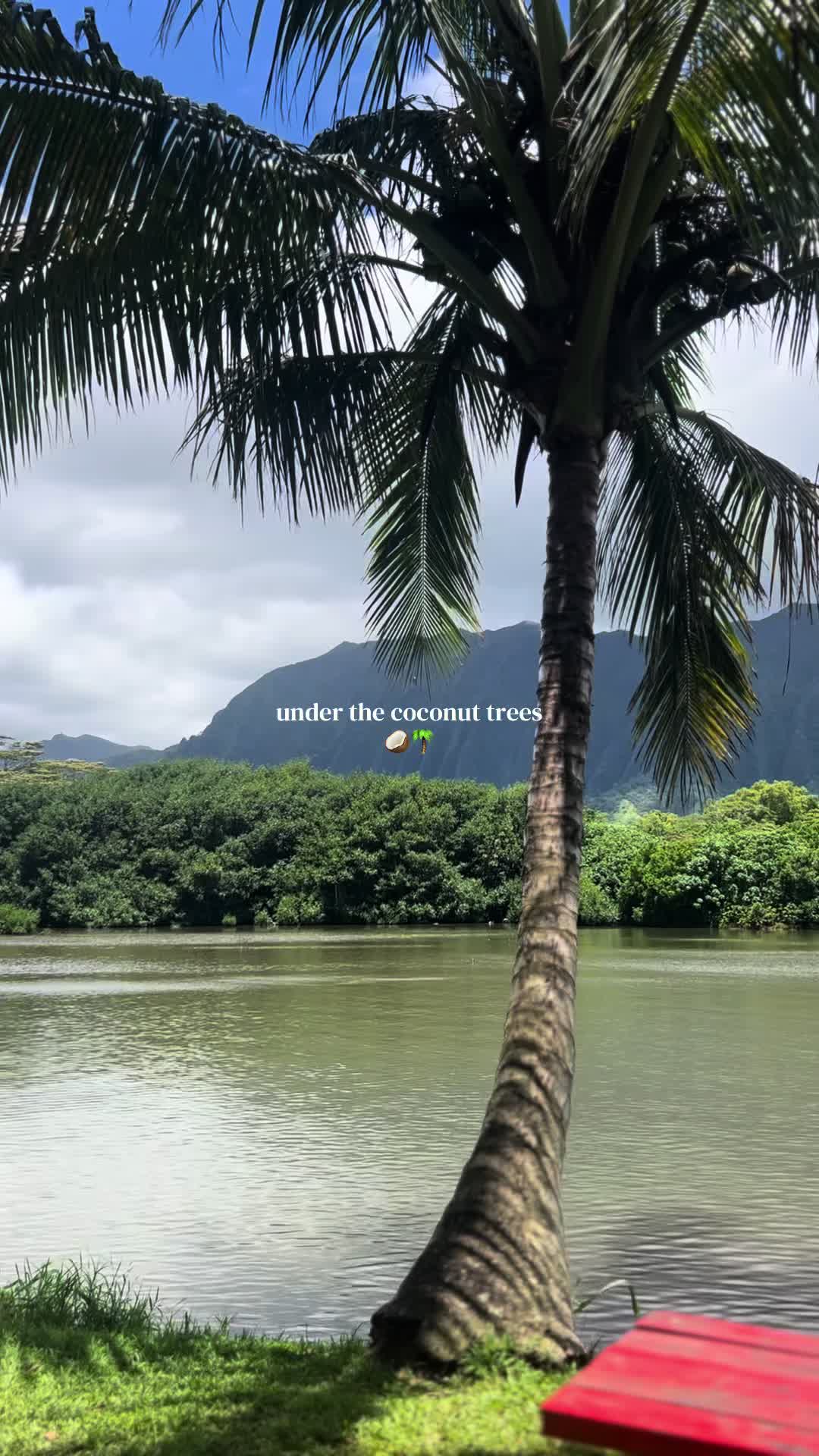 @SyLein👩🏻🍳🇫🇲