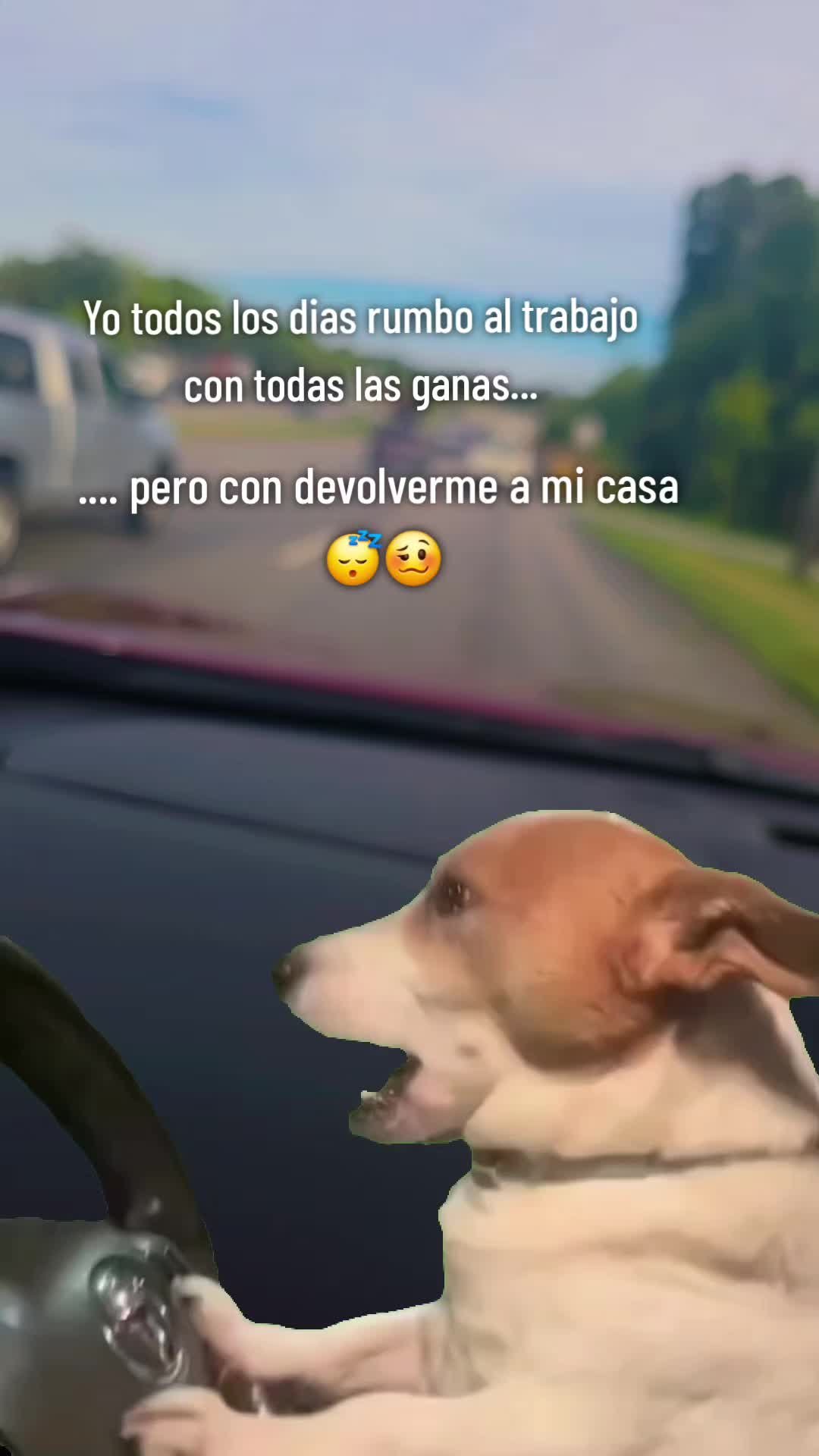 @🇸🇻 MelissARo💙🐿 🪽S 🦋