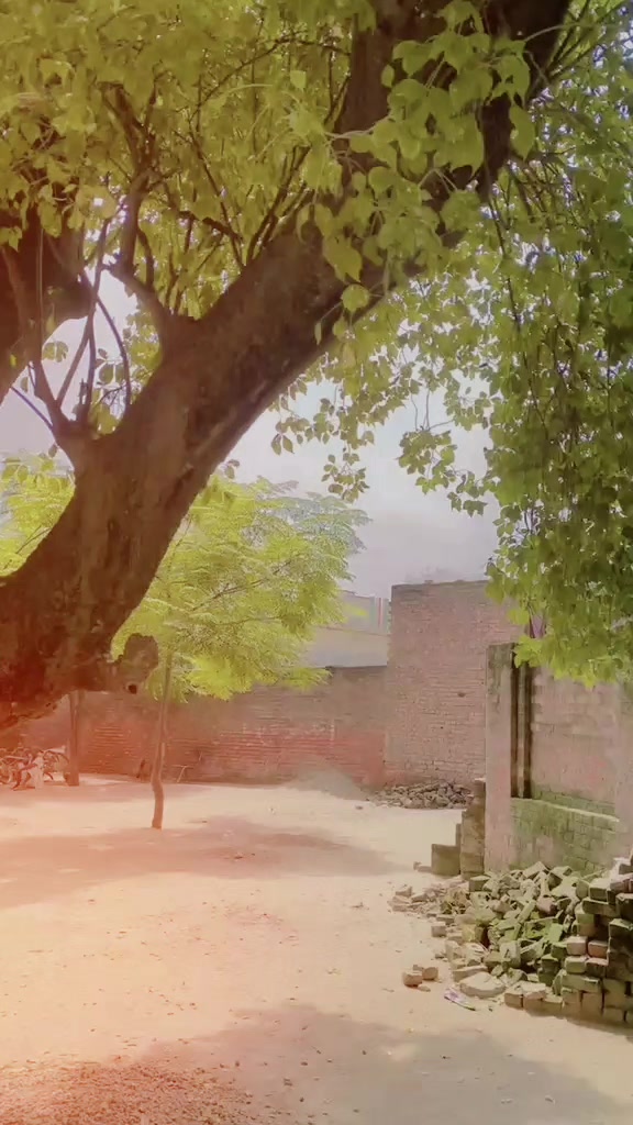@💕 𝖱𝖠𝖹𝖠 ❤️جٹ ✨