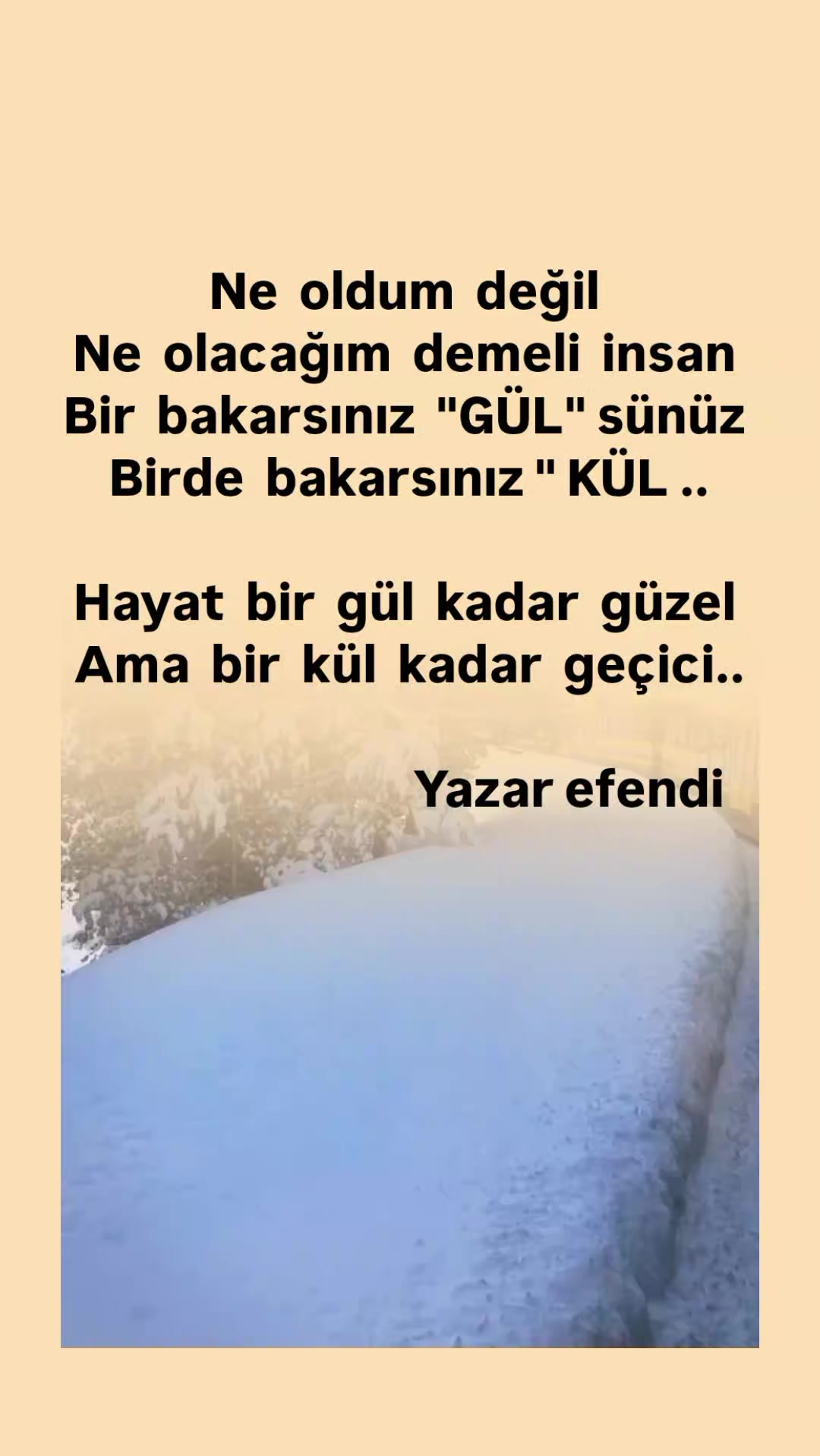 @YAZAR EFENDİ 📚📚