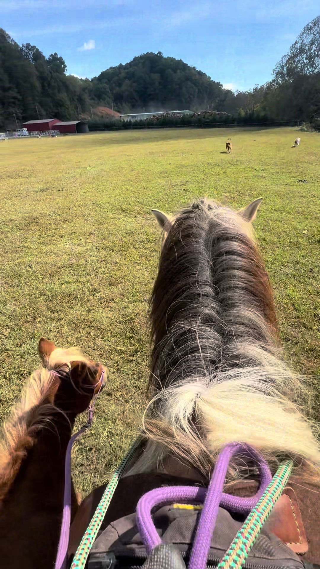 @Janet..Fuzzy.farm.gang