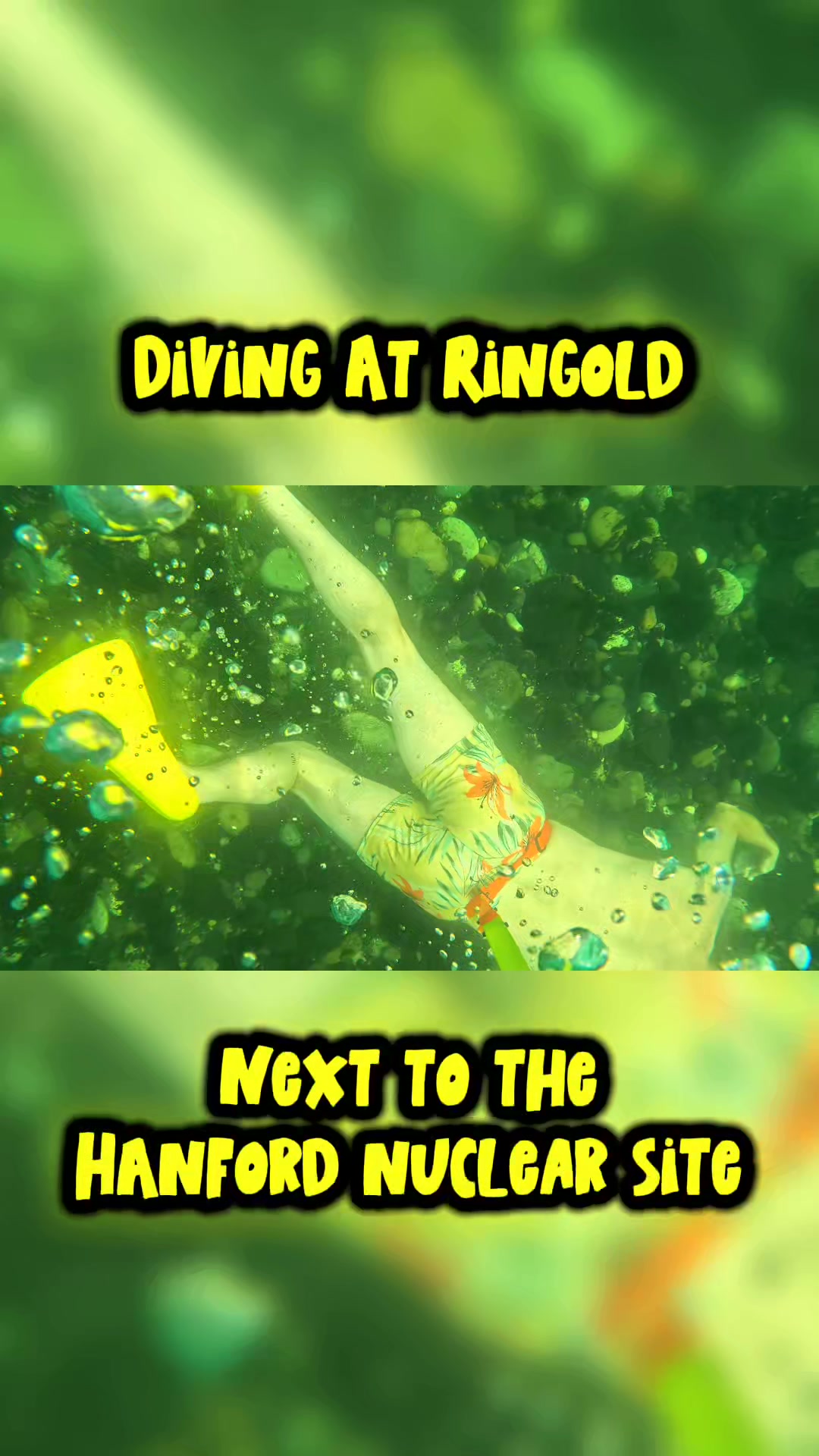 @OWSwimmerX-NedHastings