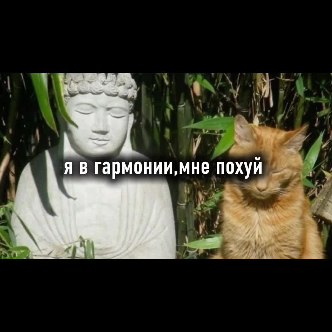 @тэи