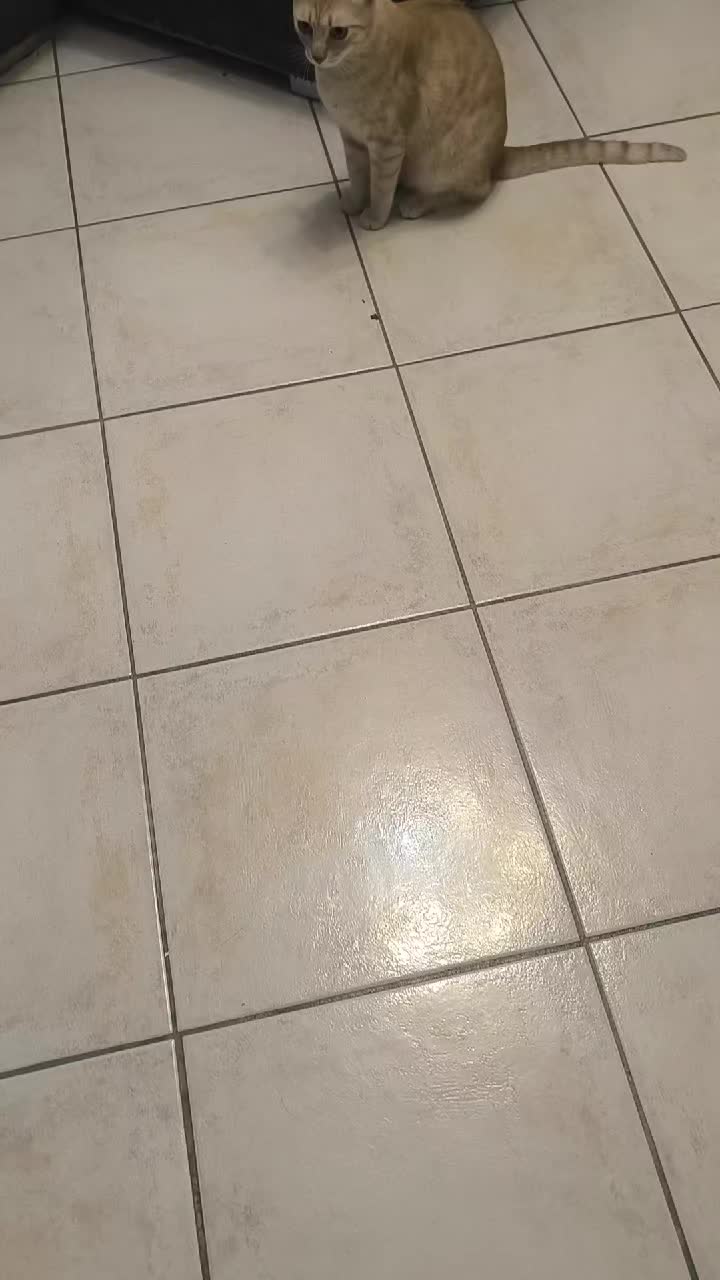 @Pina