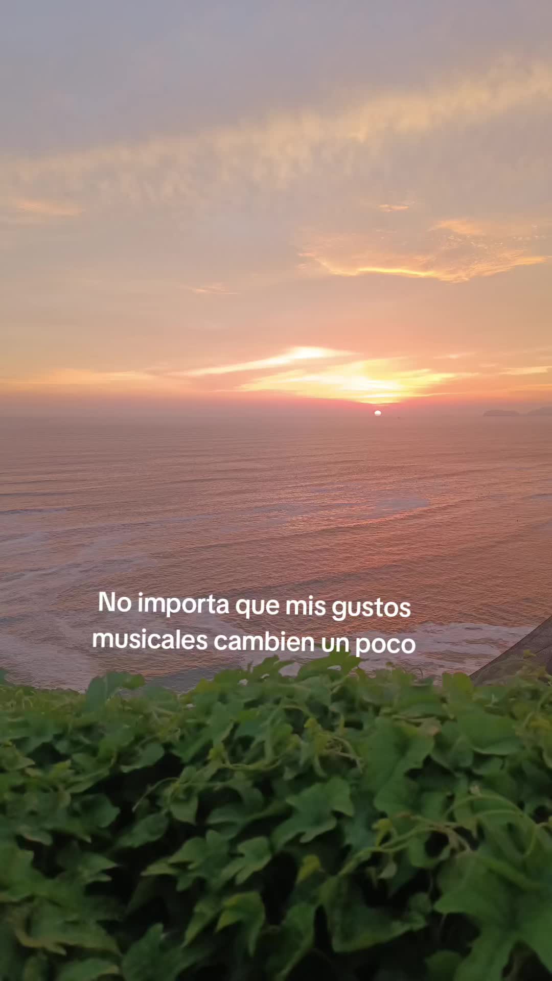 @Judith Mariana