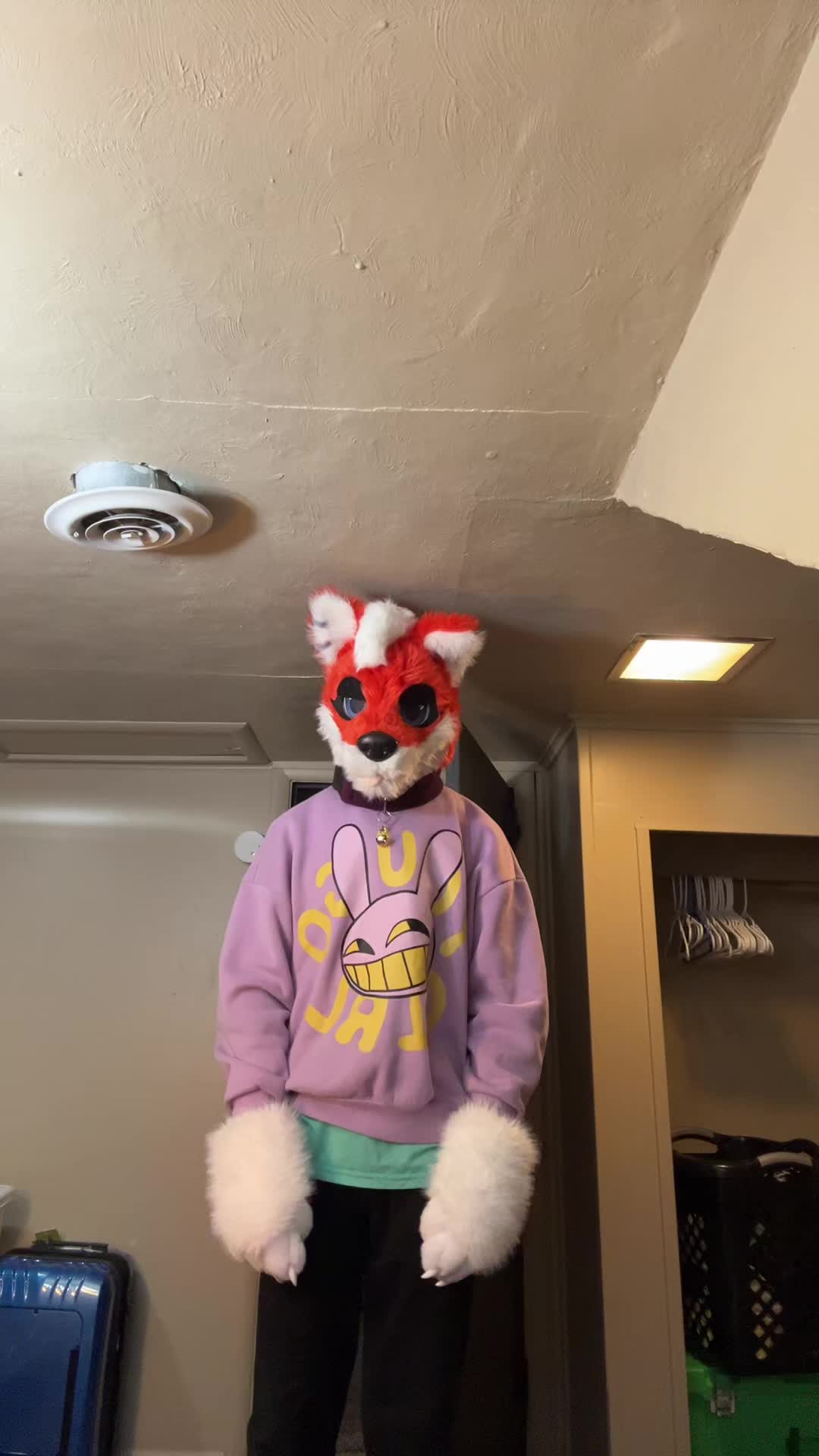 @GummiAlbion🦊🍜
