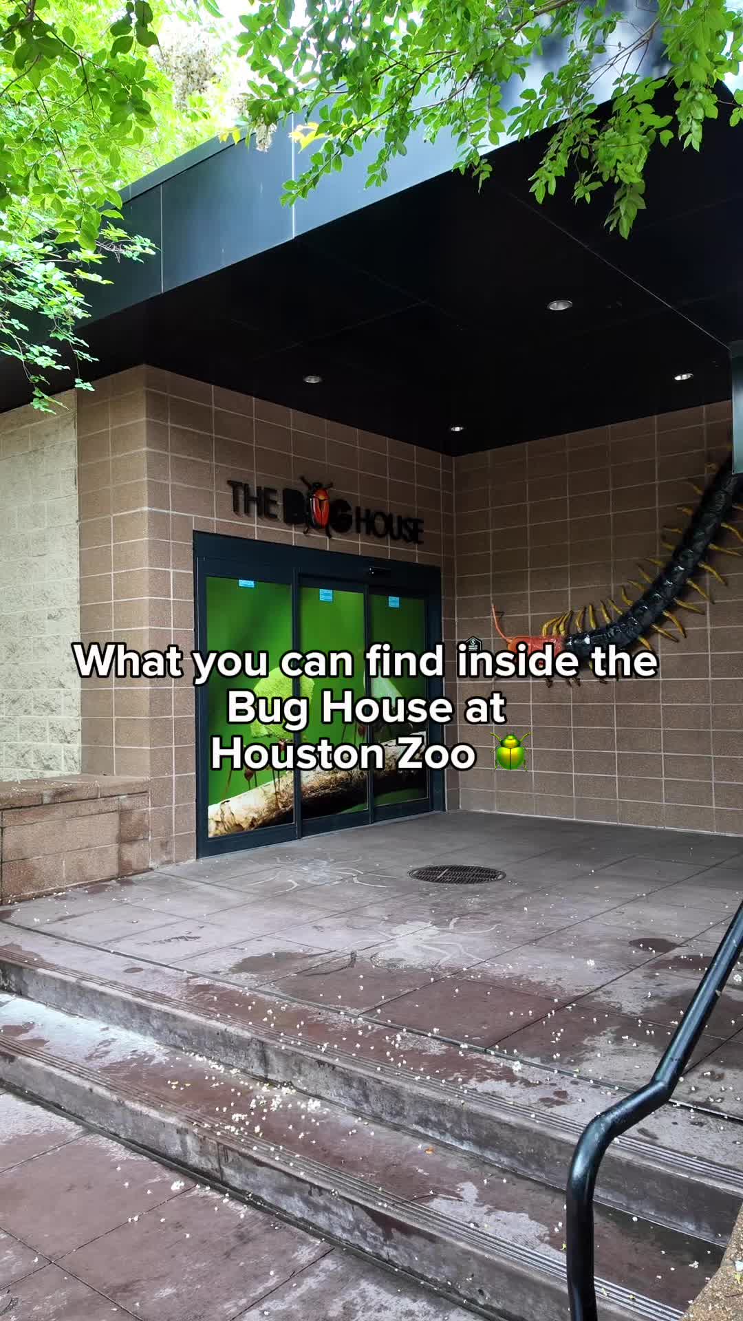 @Houston Zoo