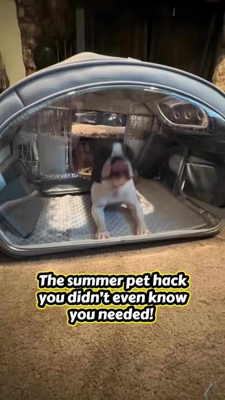 @Jess & The PACK