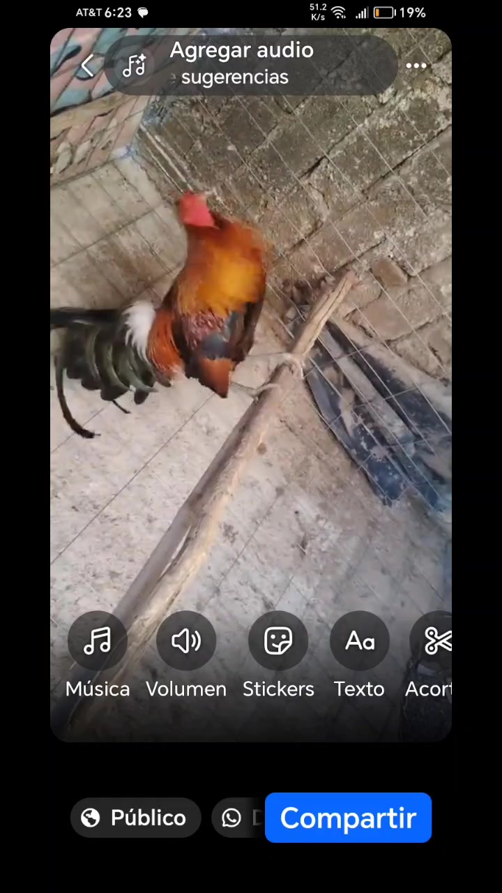 @user65107443865