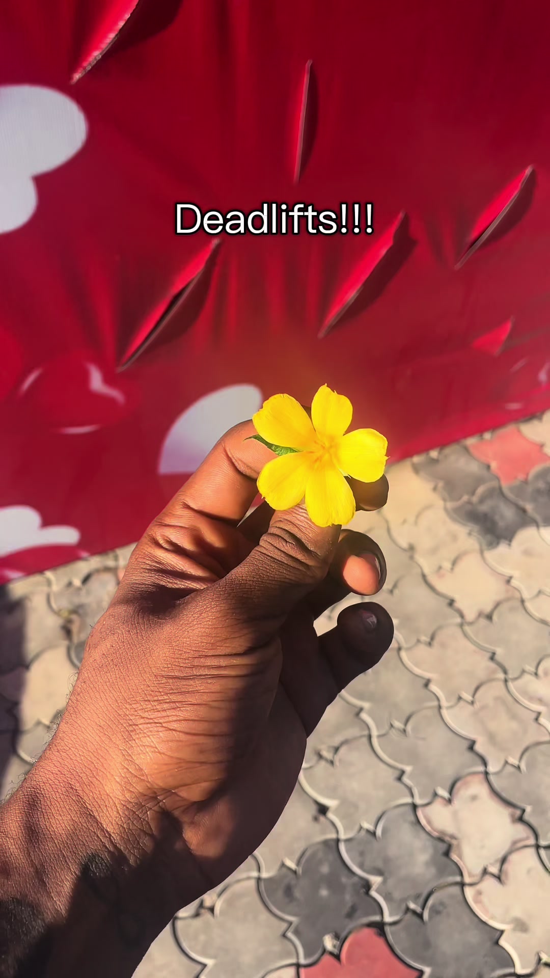 @𝓤𝓰𝓵𝔂
