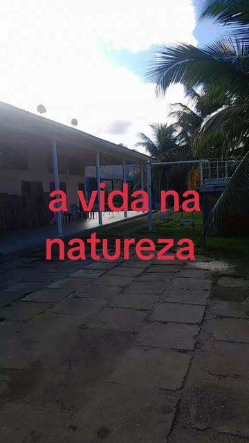@Jonas Mattos
