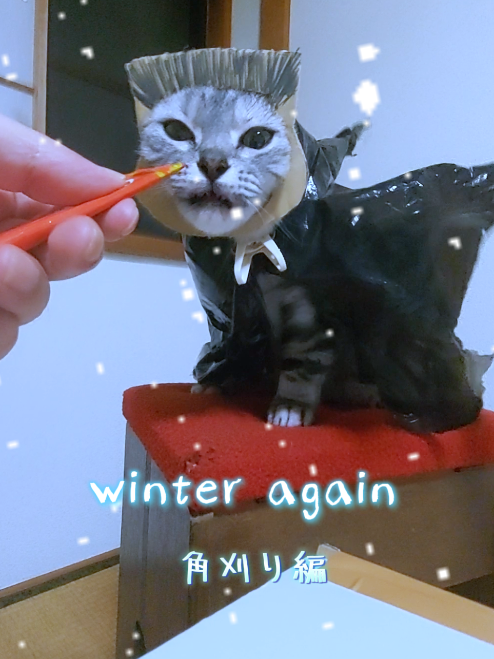 @ジュリちゃん