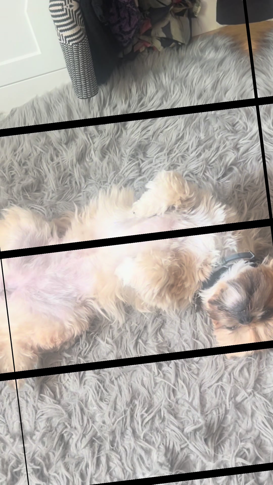 @Duuuviethedog
