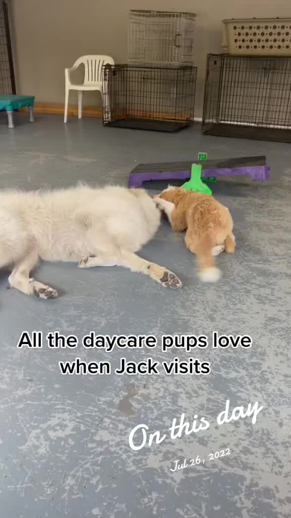@Heather Discovery Canine Adv.