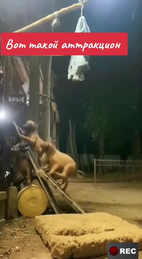 @Лариса