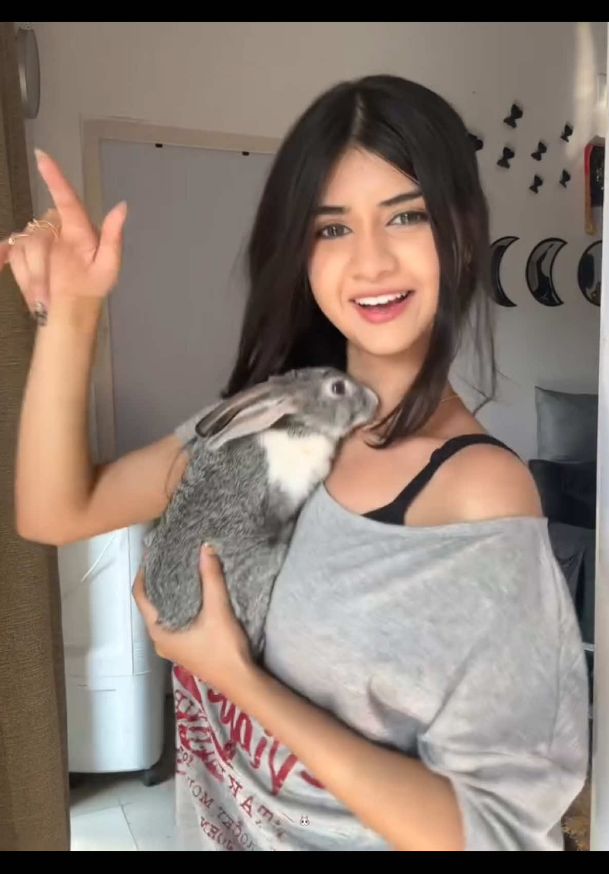 @🐰