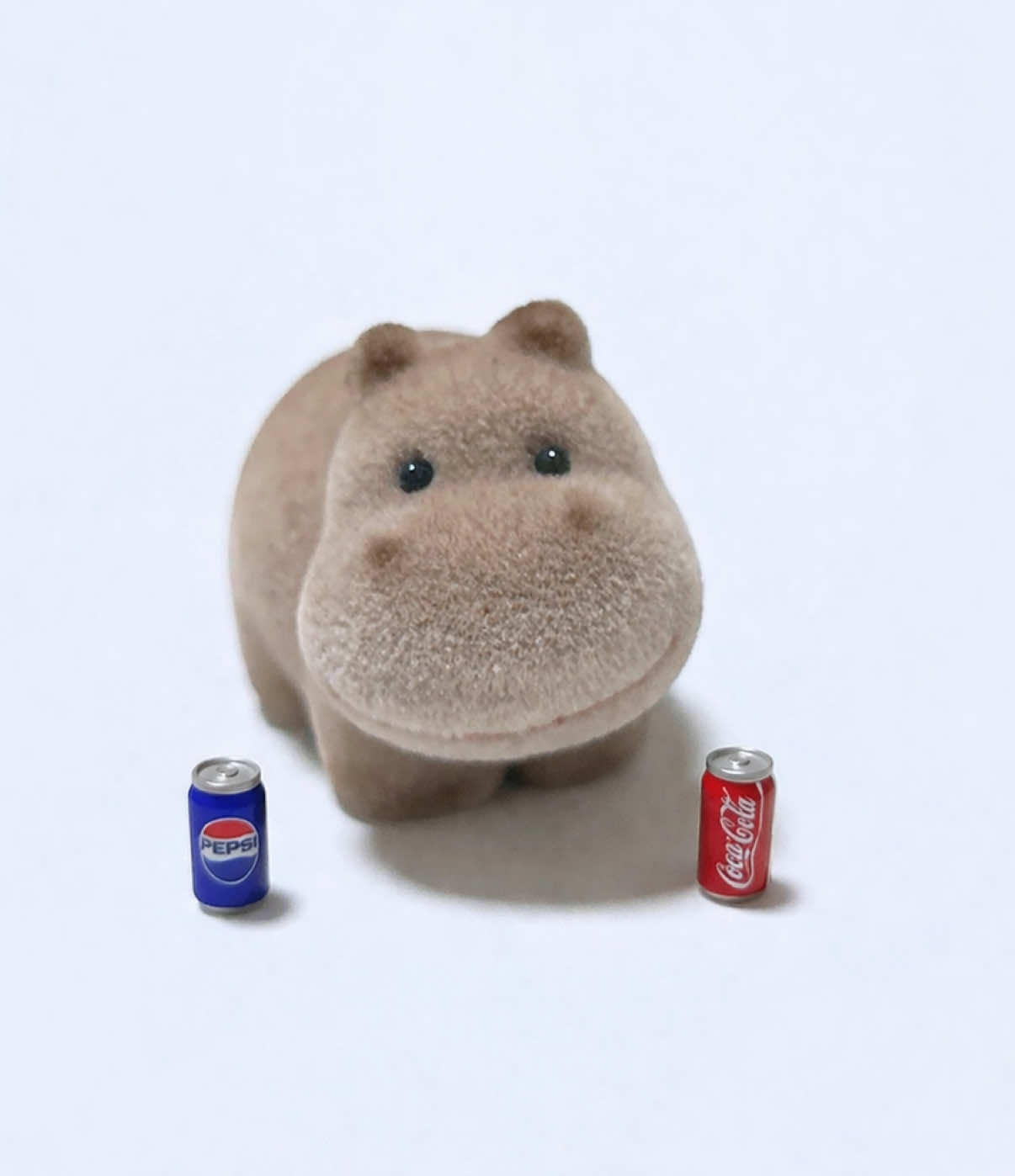 @Baby Hippo