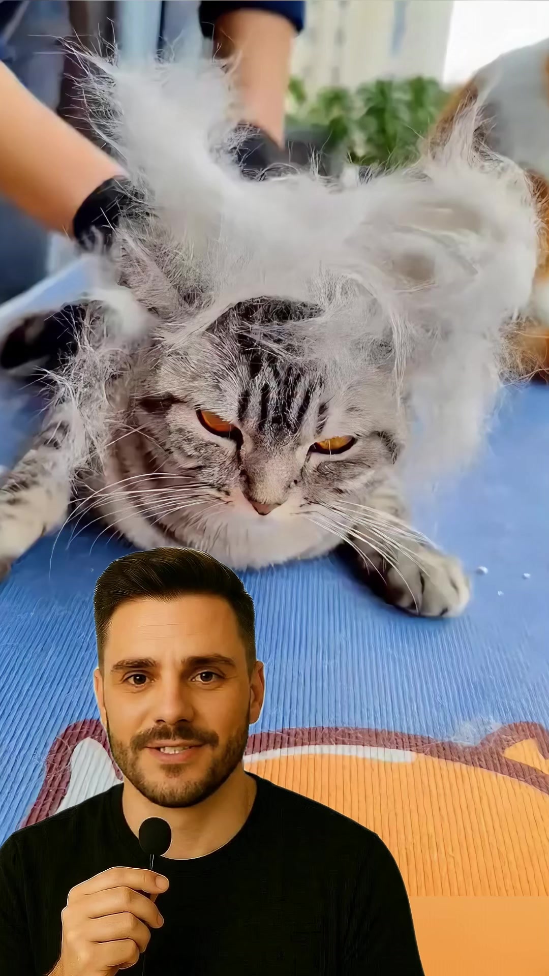 @F&aacute;bio