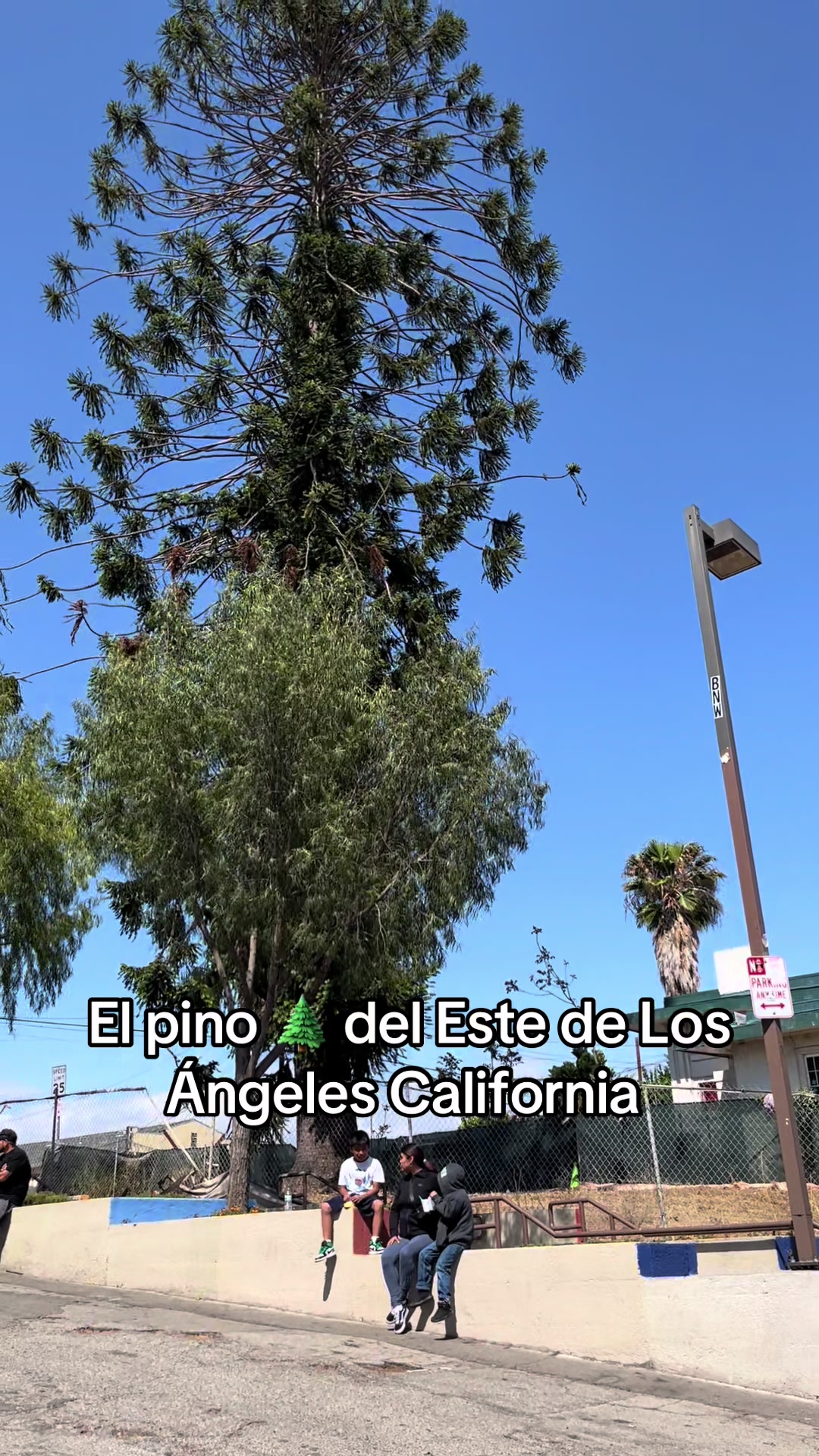 @callesdelosangeles