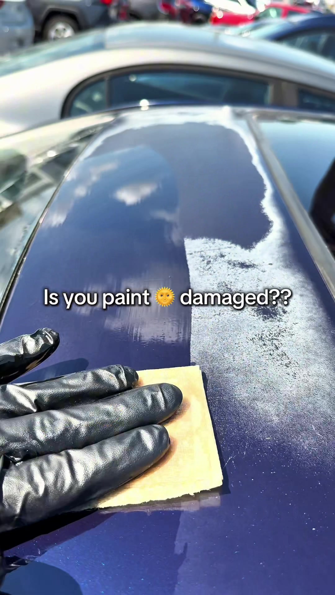 @Shiny Car Stuff