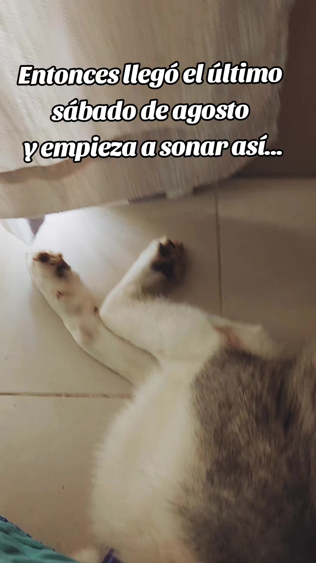 @Horus Antonio Cort&eacute;s Arias