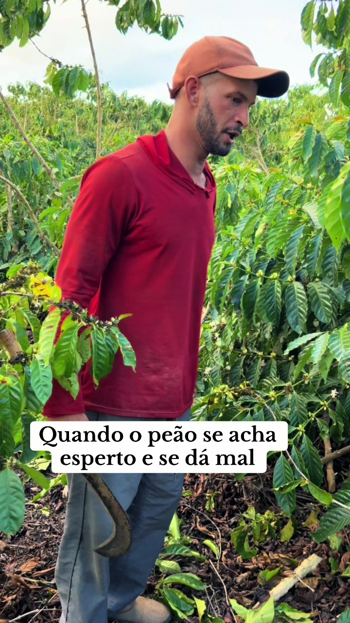 @Am&oacute;s Machado