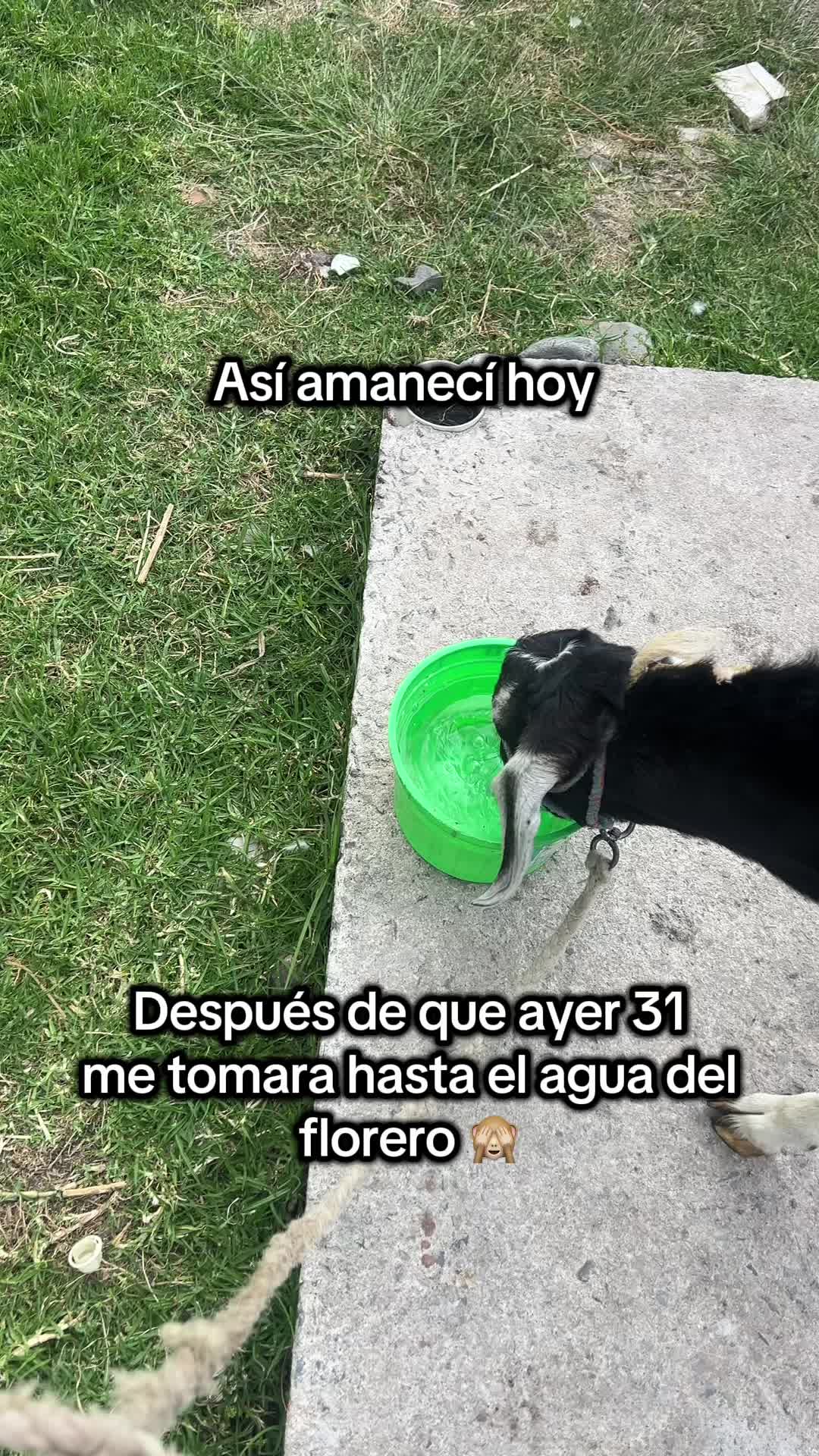 @Sam