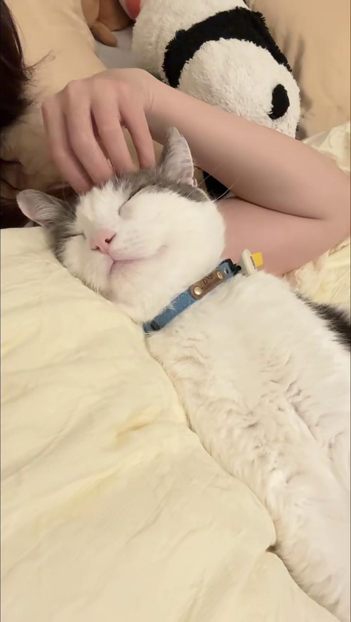 @Mimi Wawa Meow