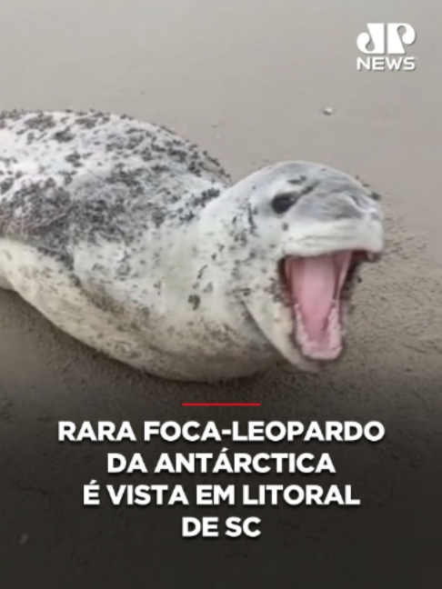 @Jovem Pan News