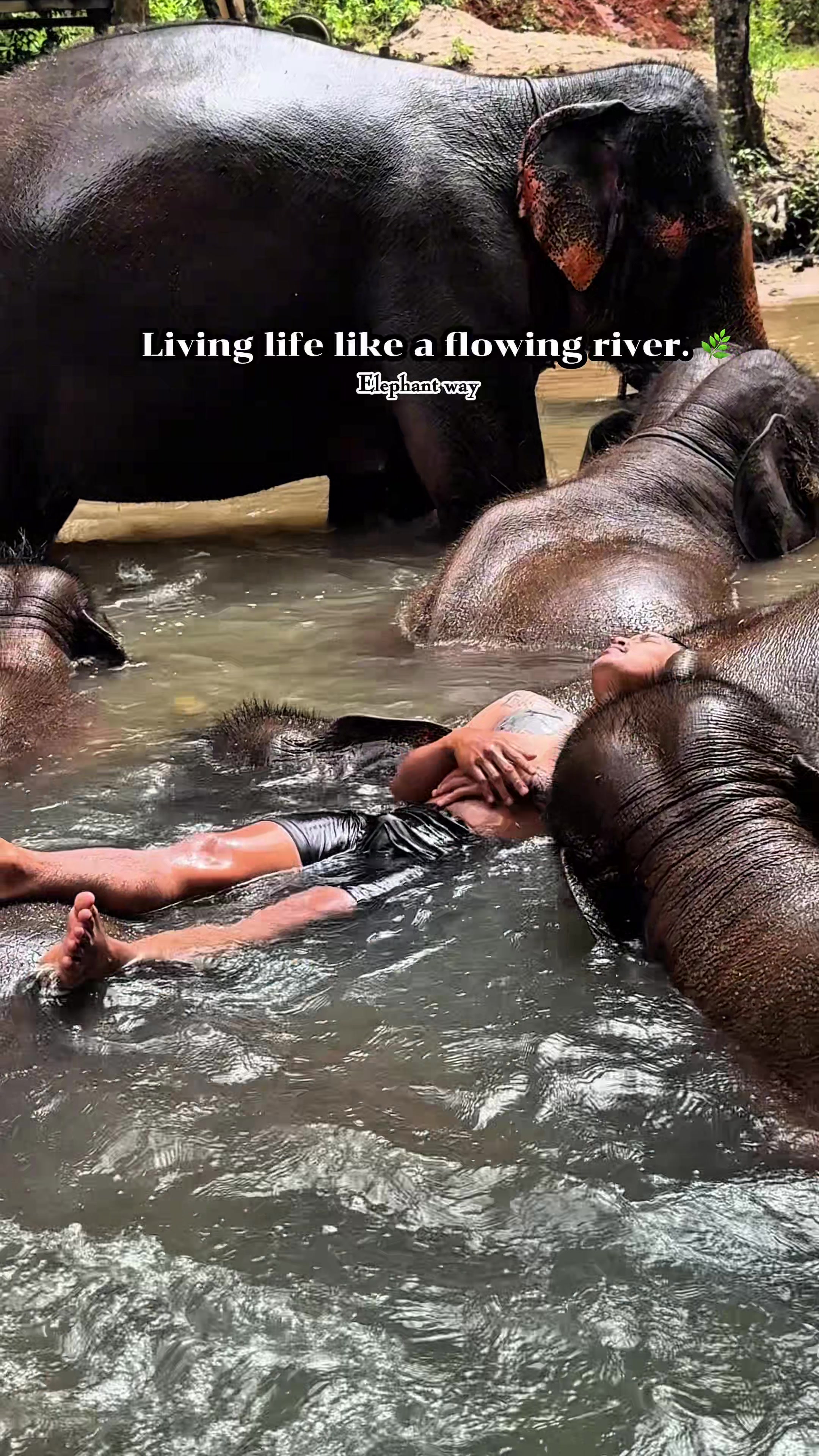 @Elephant way