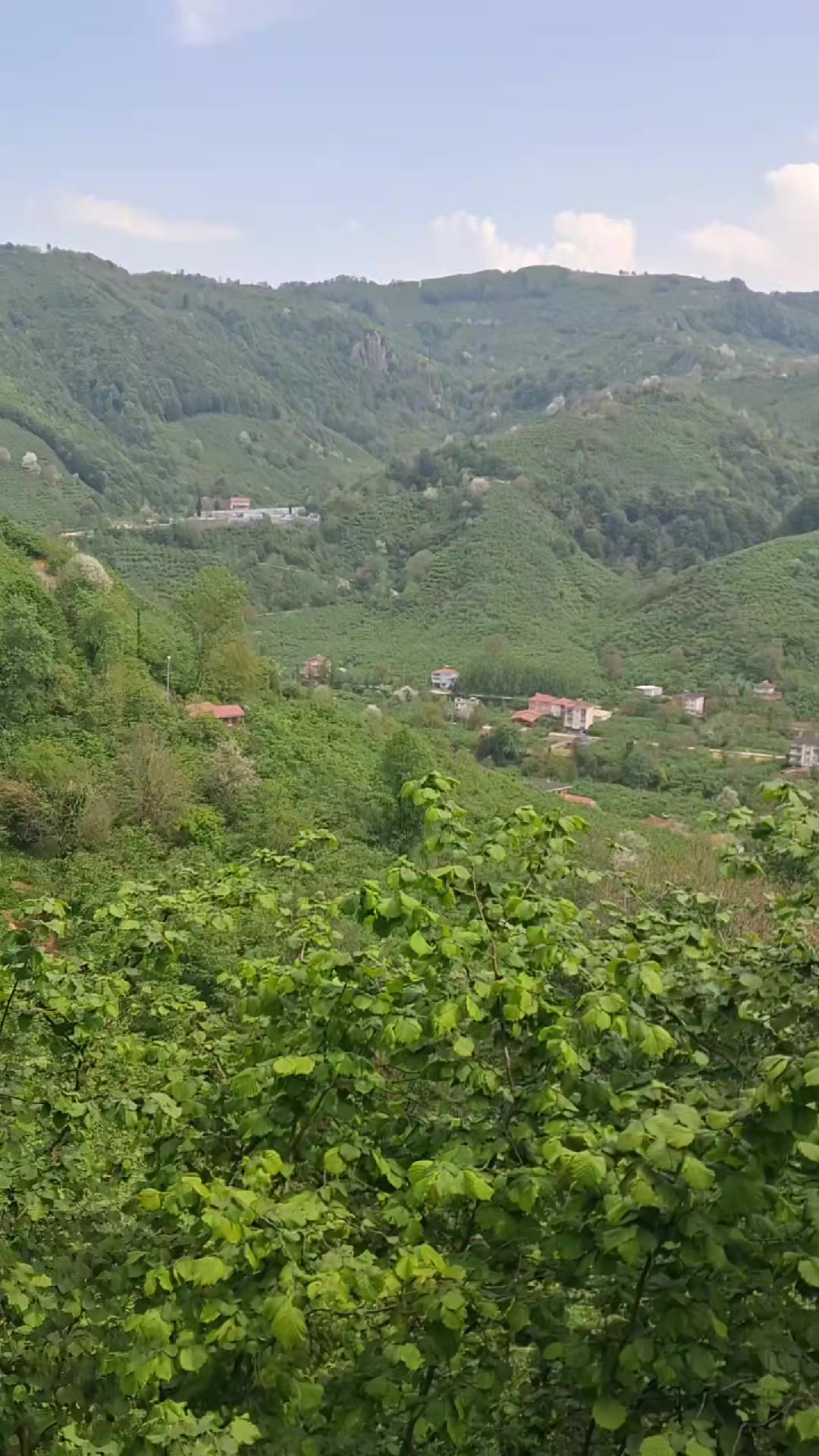 @turgaykuru