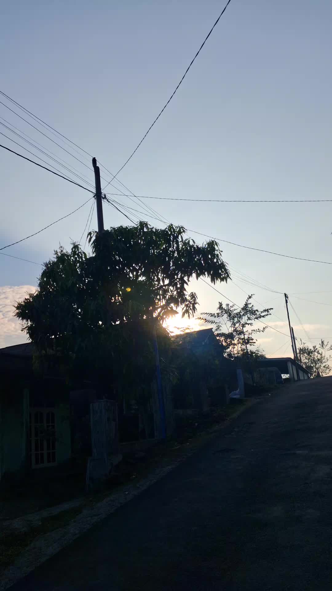 @shefadewata