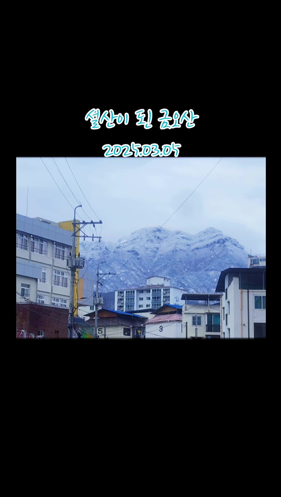 @Bogus.Tv